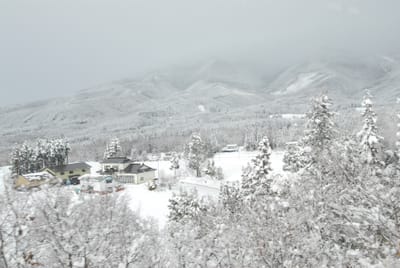 DSC_6467.JPG