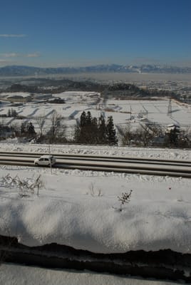 DSC_6470.JPG
