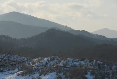 DSC_6475.JPG