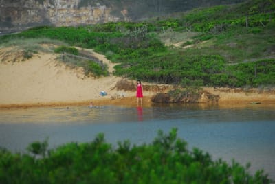 DSC_3149.JPG