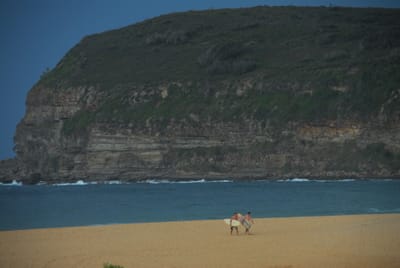 DSC_3150.JPG