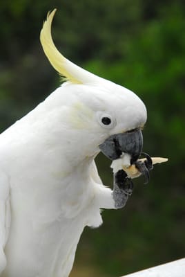 DSC_3163.JPG