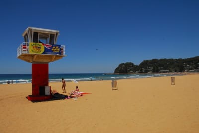 DSC_3164.JPG