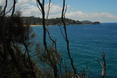 DSC_3168.JPG