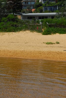 DSC_3181.JPG