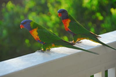 DSC_3187.JPG