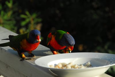 DSC_3189.JPG