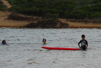 DSC_3223.JPG