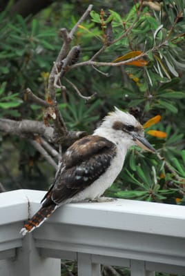 DSC_3313.JPG