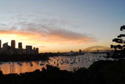 DSC_2925.JPG
