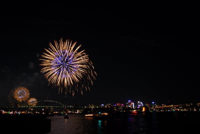 DSC_2950.JPG