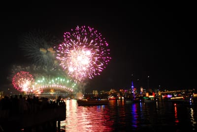 DSC_2990.JPG