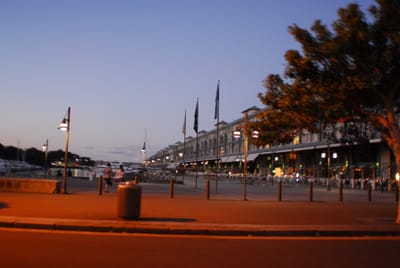 DSC_3618.JPG