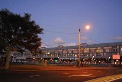 DSC_3619.JPG