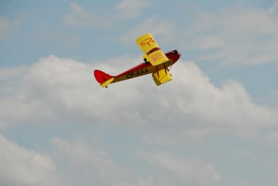 DSC_4365.JPG