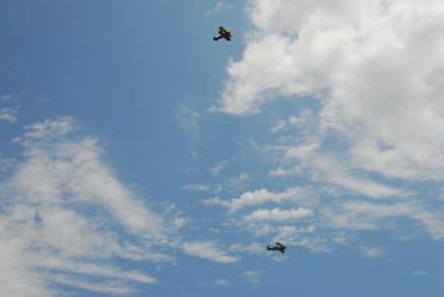 DSC_4366.JPG