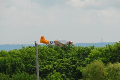 DSC_4375.JPG