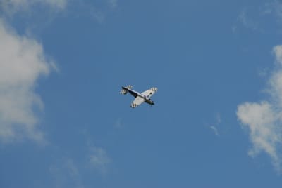 DSC_4385.JPG