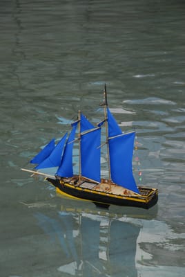 DSC_4479.JPG