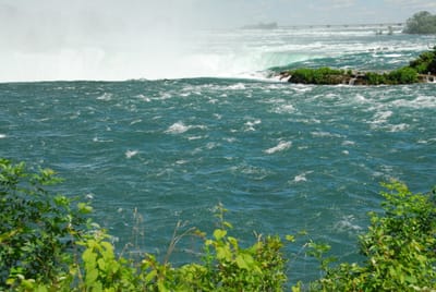 DSC_4627.JPG