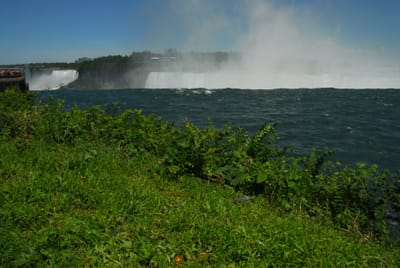 DSC_4629.JPG