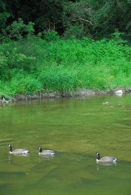 DSC_4516.JPG