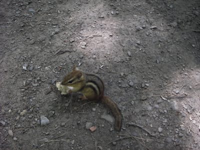 IMGP5369.JPG