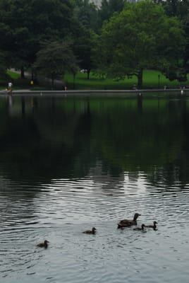 DSC_4748.JPG