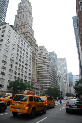 DSC_4834.JPG