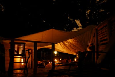 DSC_5345.JPG