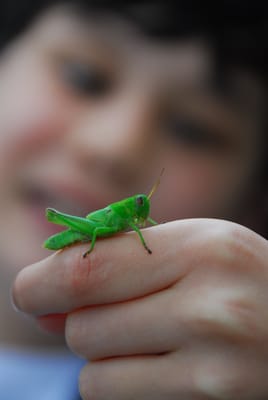 DSC_5362.JPG