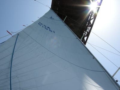 DSCN0518.JPG
