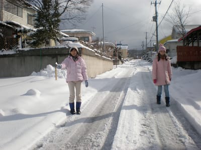 HiromiNanami1Jan2009.jpg