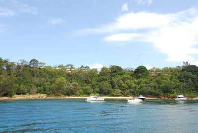 DSC_3045.JPG
