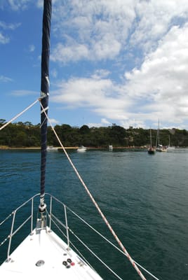 DSC_3048.JPG