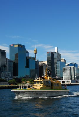DSC_4131.JPG