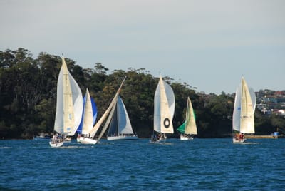 DSC_4154.JPG