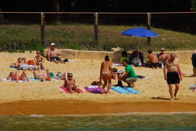 DSC_5961.JPG