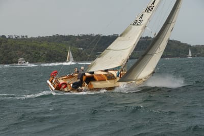 DSC_5970.JPG