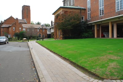 DSC_4101.JPG