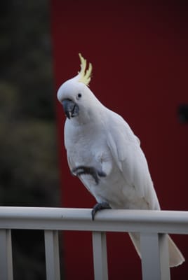 DSC_5725.JPG