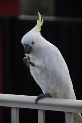 DSC_5727.JPG