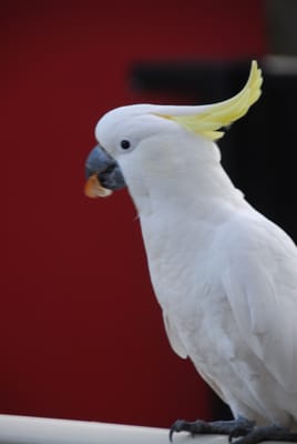 DSC_5728.JPG
