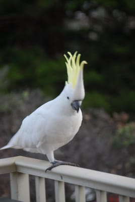 DSC_5729.JPG