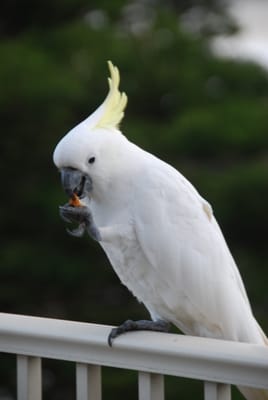 DSC_5730.JPG
