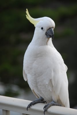 DSC_5733.JPG
