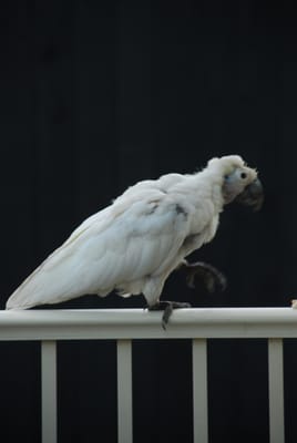 DSC_5734.JPG