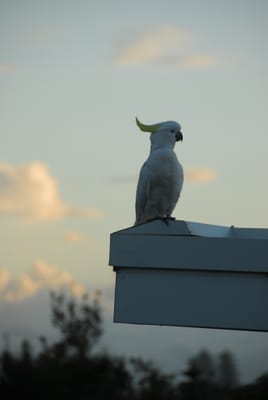 DSC_5736.JPG