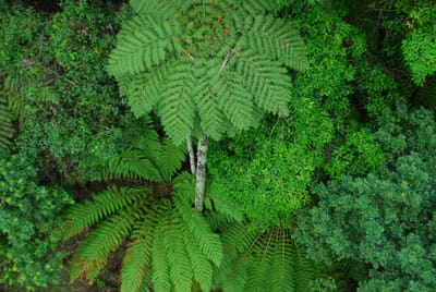 DSC_5763.JPG