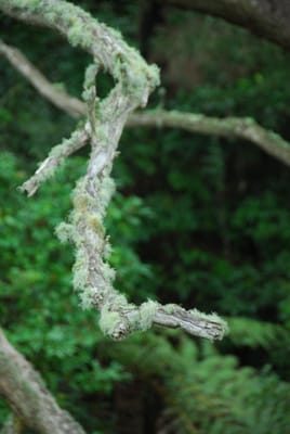 DSC_5767.JPG